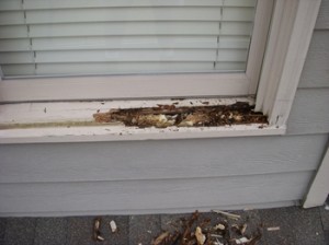 Window Repair Handyman Services
